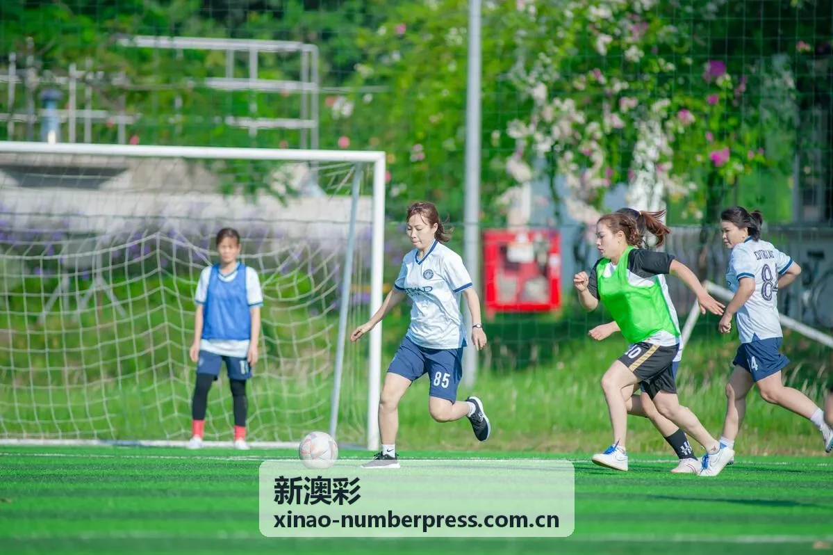 新澳彩指标稳定性对比案例三
